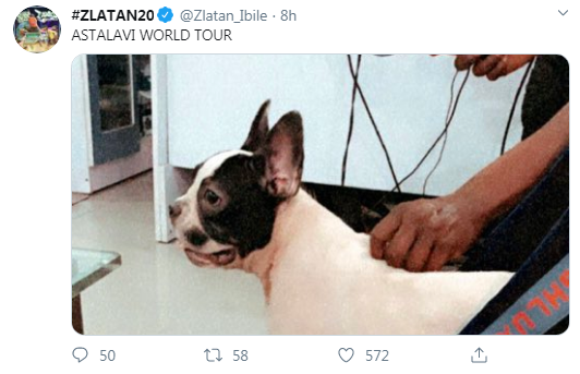 Zlatan's Dog, "Astalavi" Gets International Passport, See What Zlatan Has To Say!!